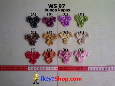 WS 97  large2